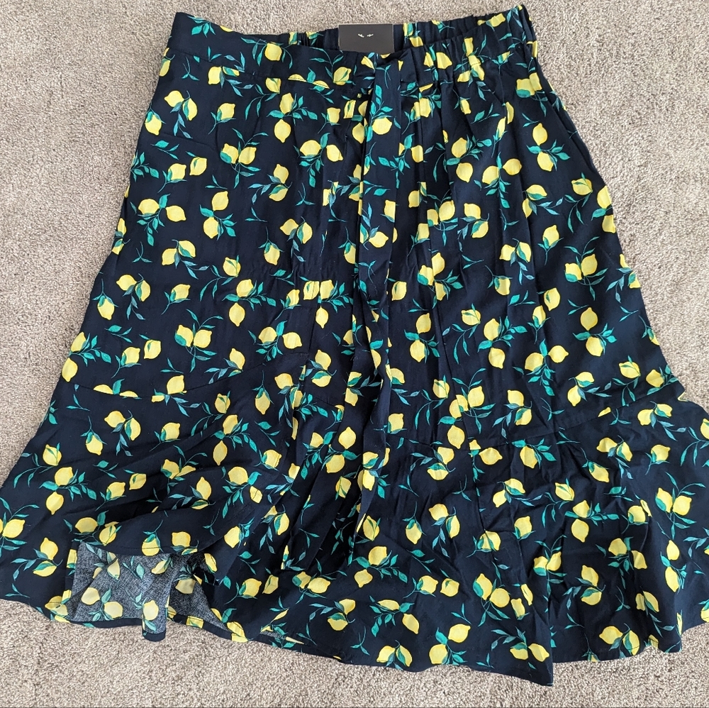 Banana Republic Skirt